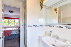 Photo 11- click for photo gallery